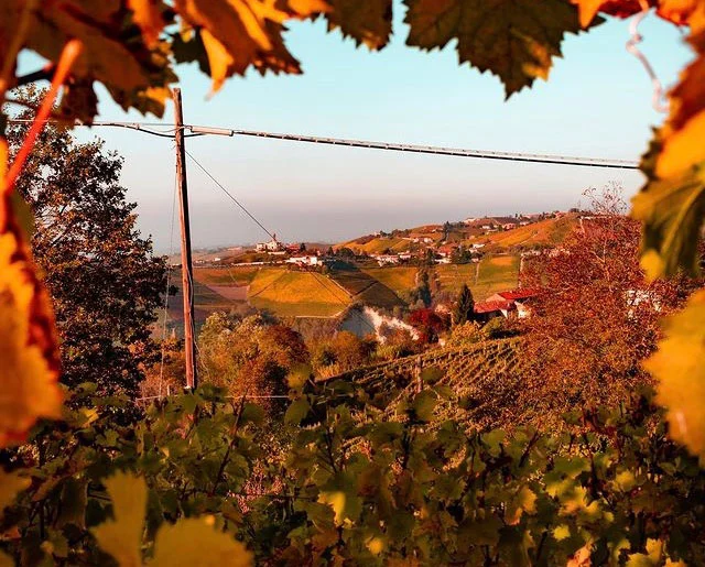 piemonte