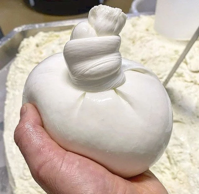 Burrata Mozzarella