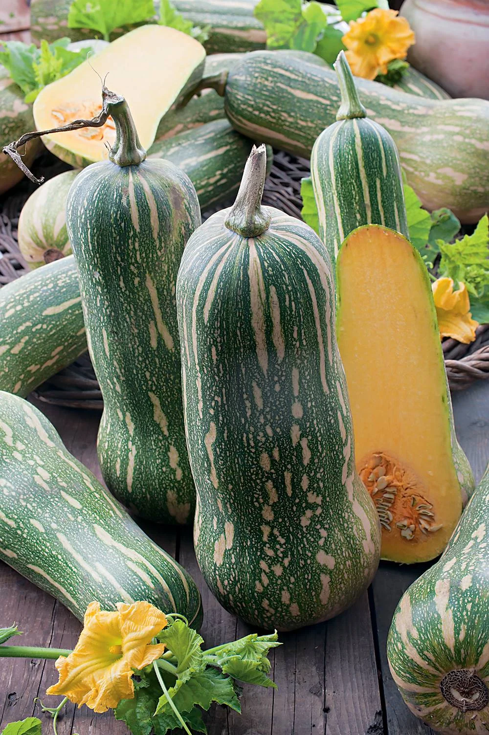 courge-pleine-de-naples