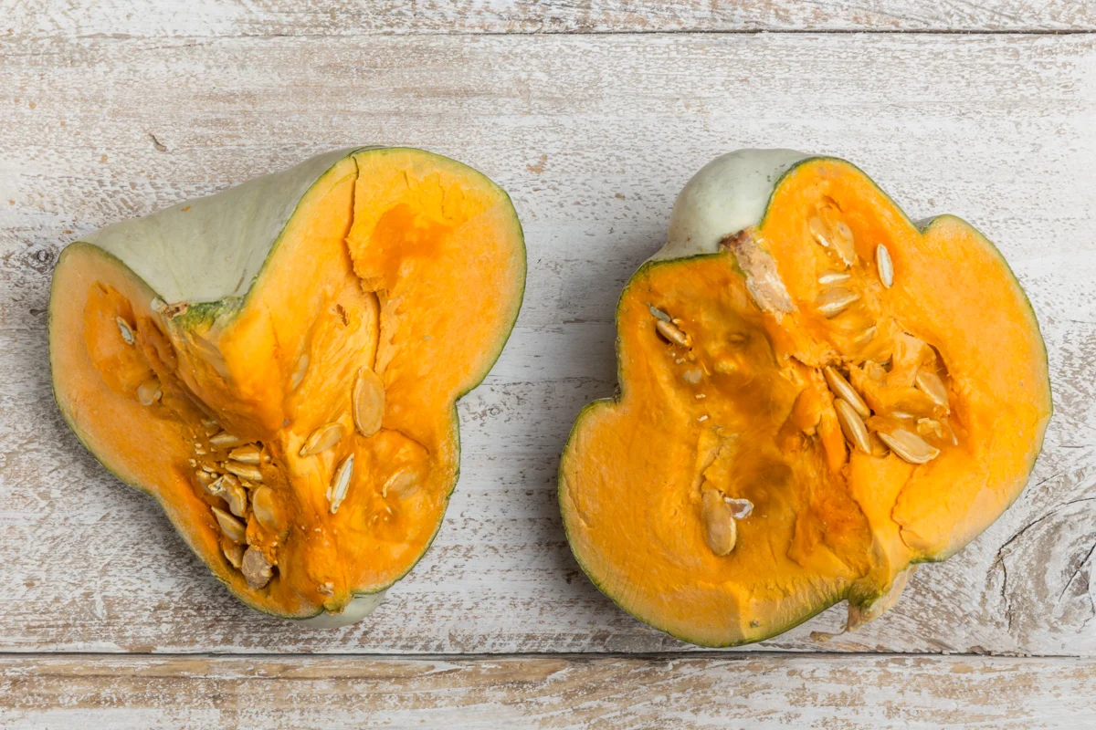 courge-berretine