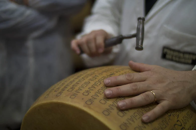 Battitura des meules de Parmigiano Reggiano