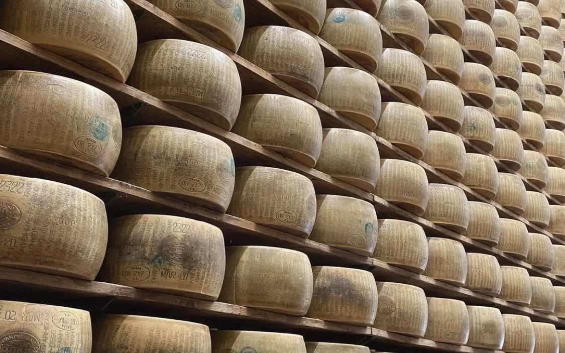 Affinage des meules de Parmigiano Reggiano