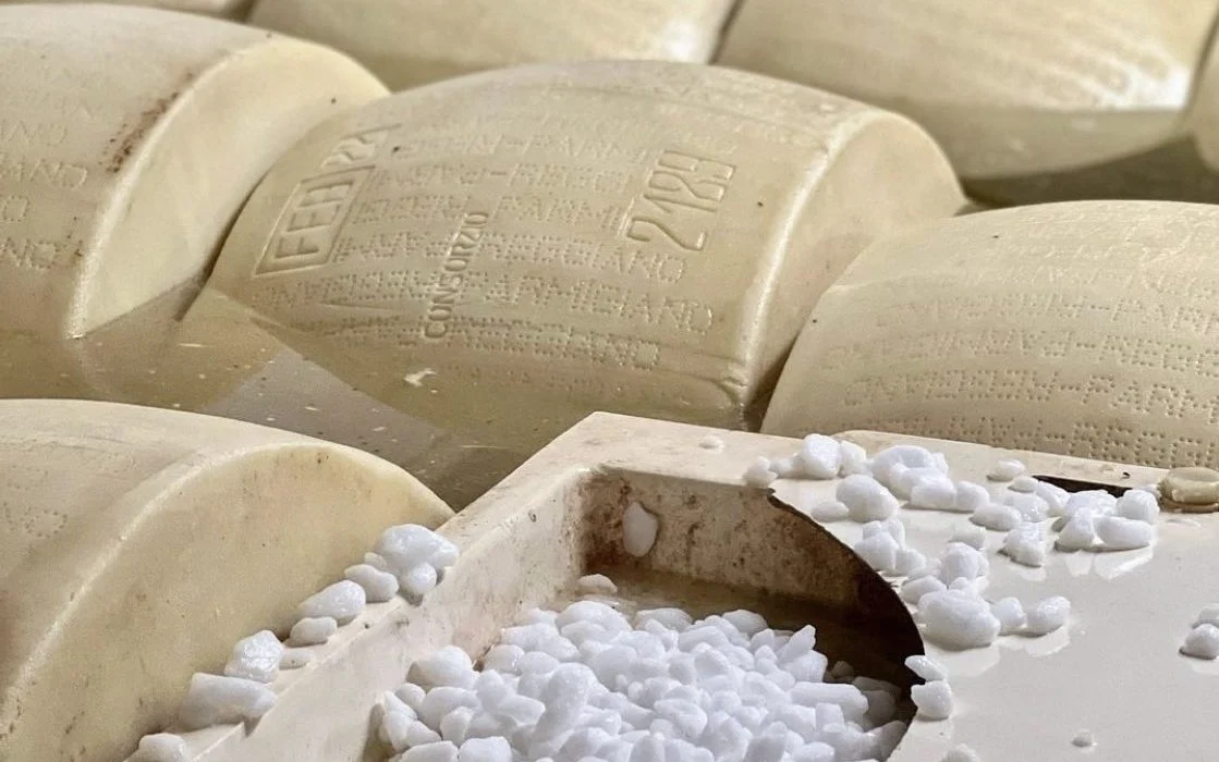 Salaison par osmose des meules de Parmigiano Reggiano