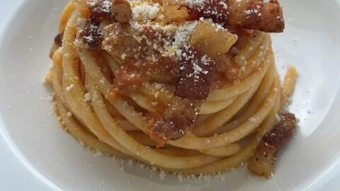 bucatini-all-amatriciana