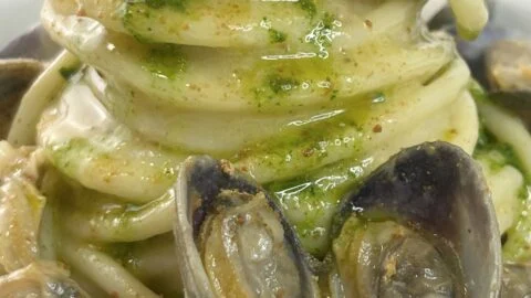 spaghetti-vongole-poutarge