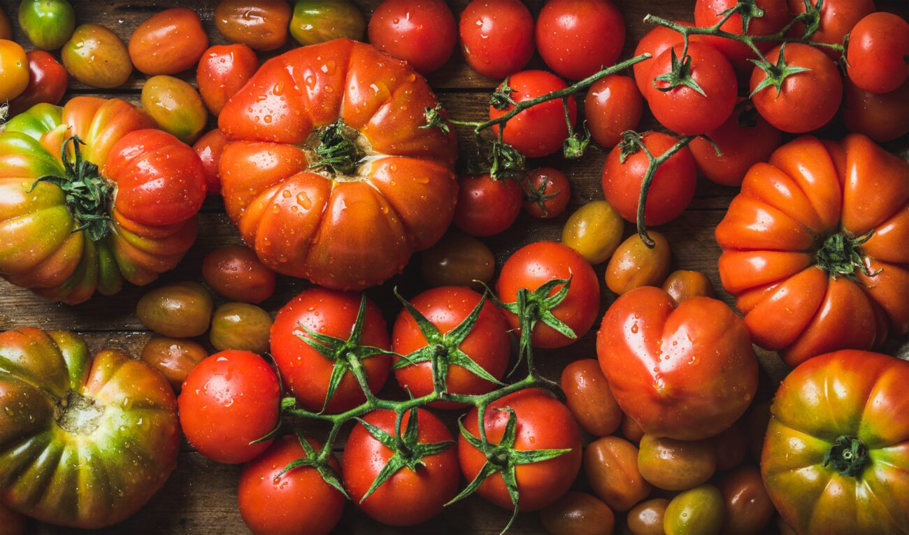 varietes-tomates-italienne