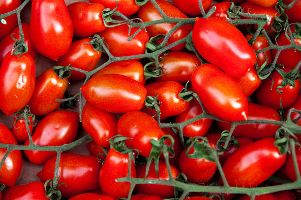 tomates-san-marzano