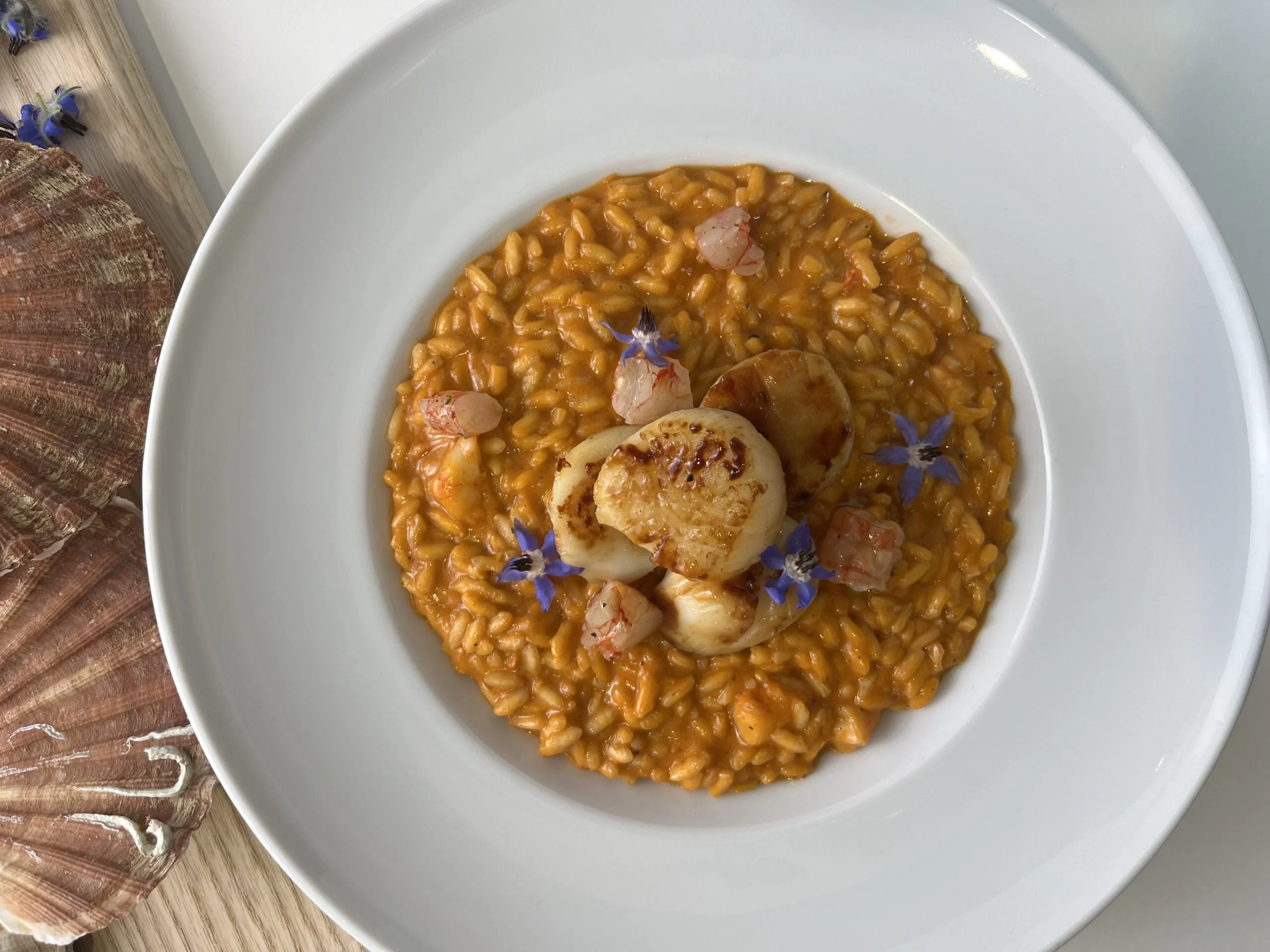 risotto-noix-de-saint-jacques