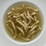Gnocchi de courge au beurre de sauge
