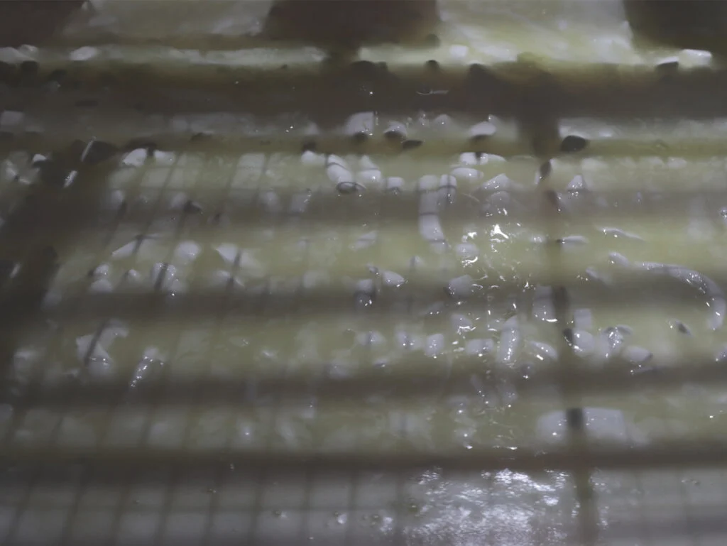 fabrication-squacquerone-de-romagne-dop