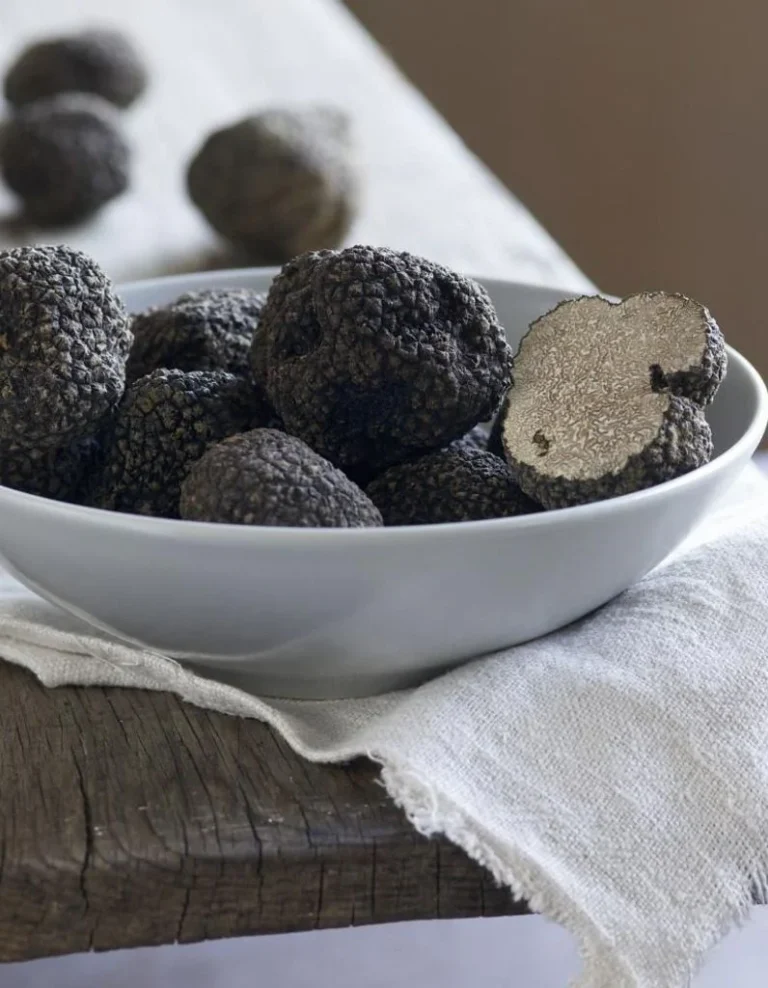 truffe-dete-tuber-aestivum