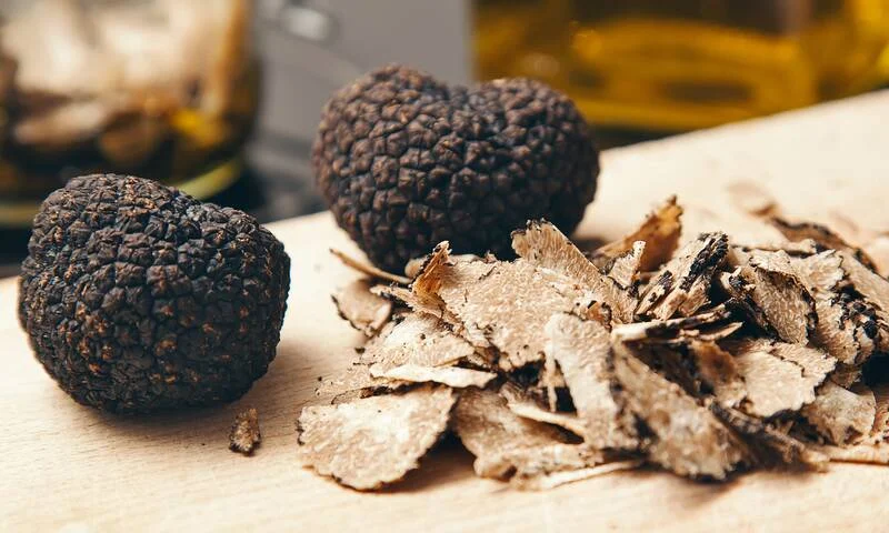 tuber-aestivum-truffe-blanche-dete