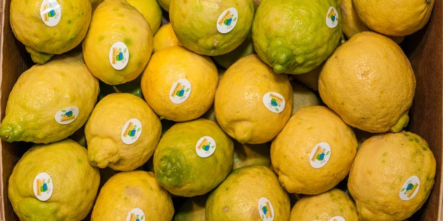 citron-de-sorrente