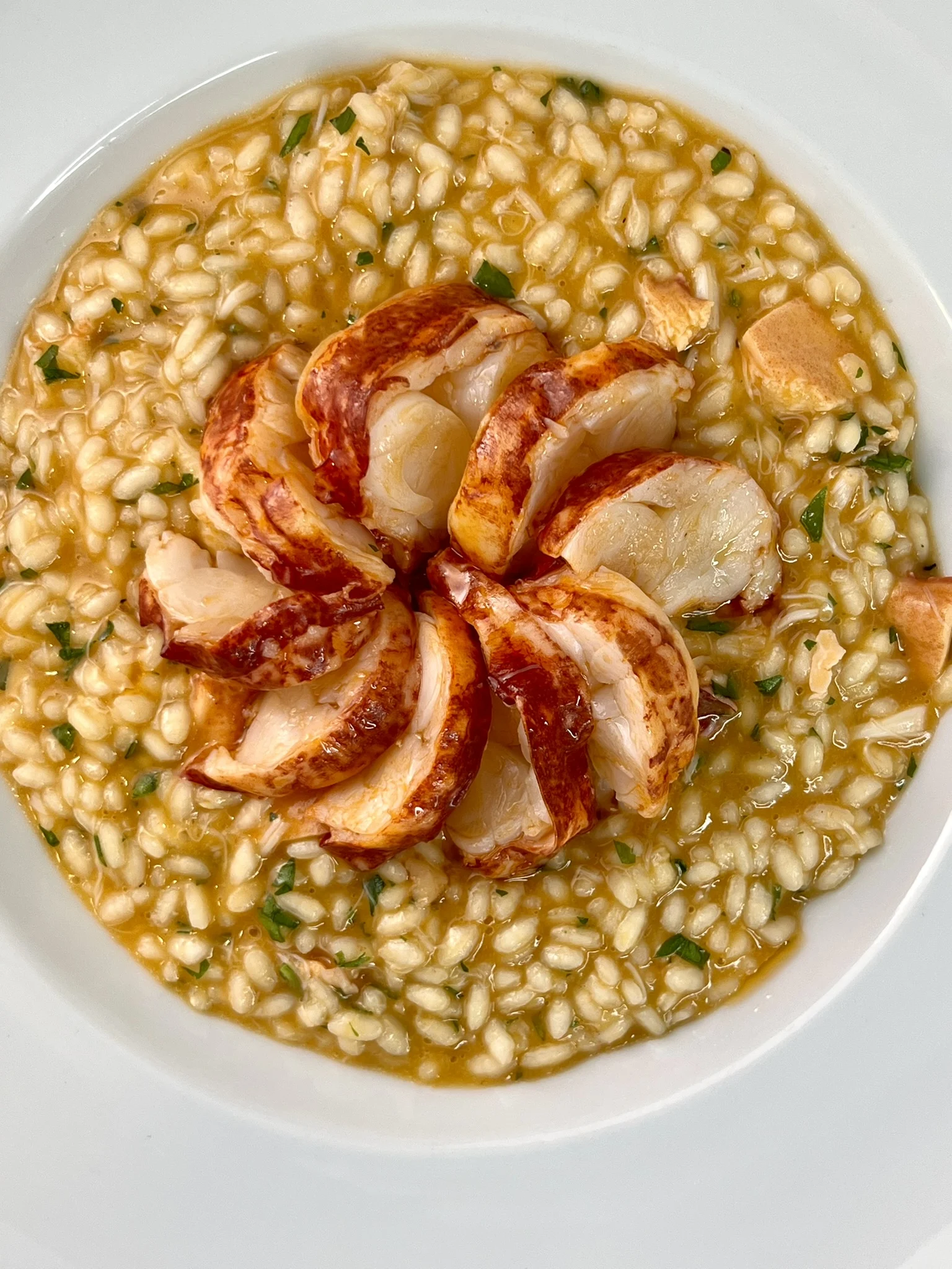 risotto-au-homard