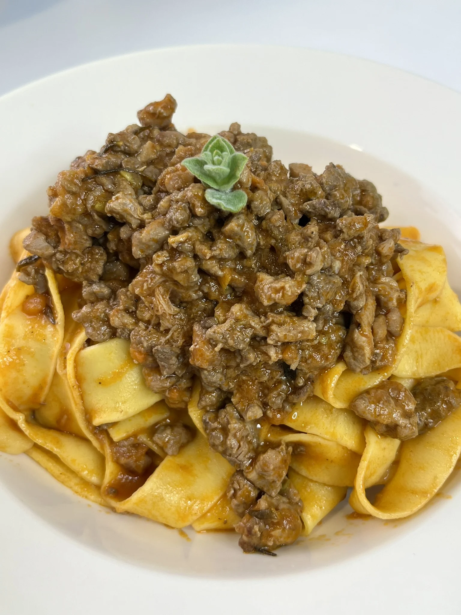 tagliatelle-au-ragout-de-pigeonneau